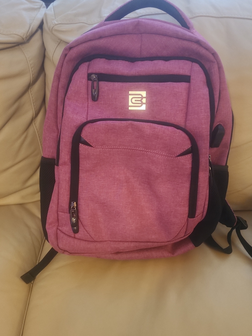 Bruno Cavalli Casual Pink Men's Backpack with Multiple Compartments